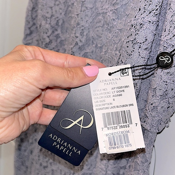 ✨ Adrianna Papell ✨ NWT Guipure Lace Blouson Dress Light Dove Size 6 - Picture 2 of 10